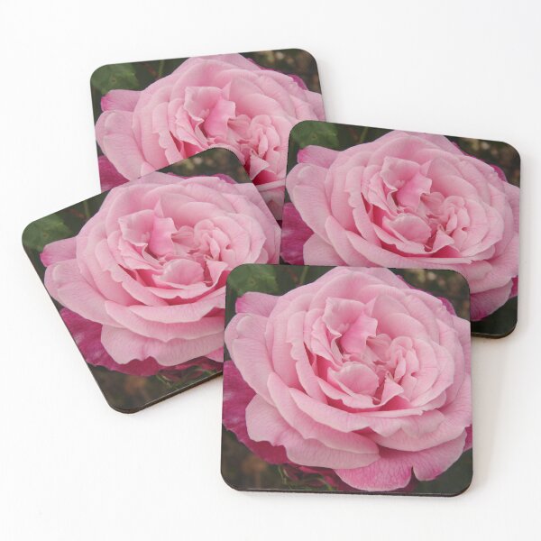 Item preview, Rose Flower Pink Two Tone designed and sold by Sarah  Rajkotwala.