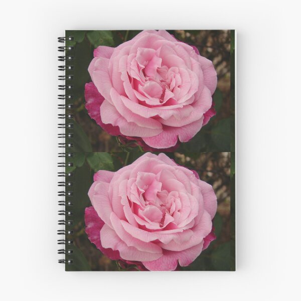 Item preview, Rose Flower Pink Two Tone designed and sold by Sarah  Rajkotwala.