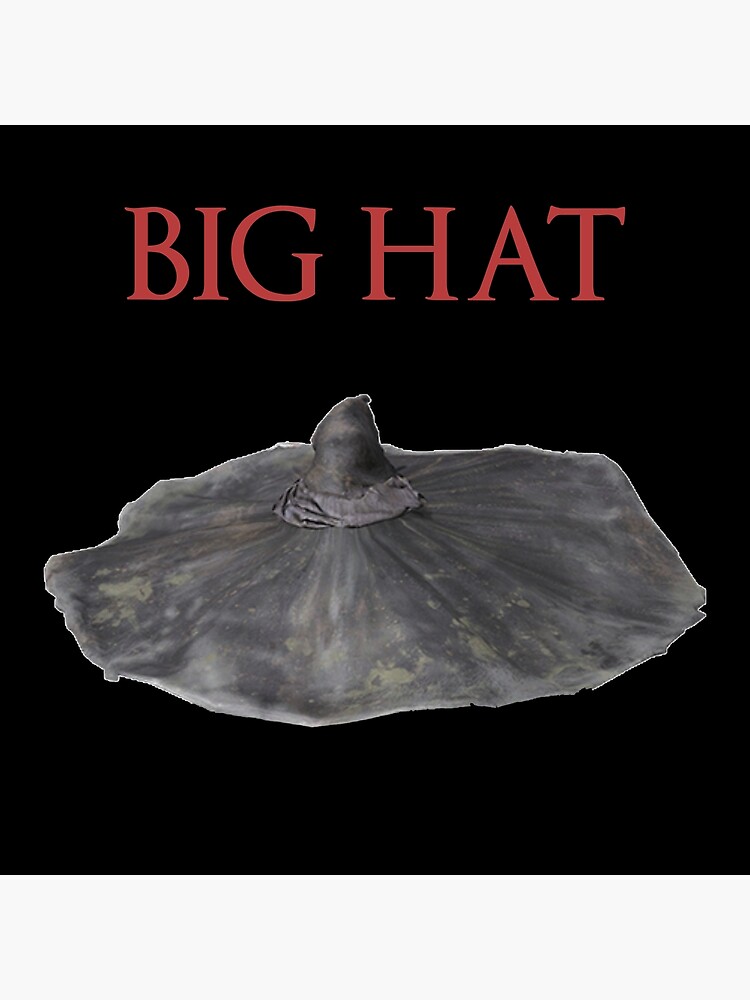 Where to find hot sale big hat logan