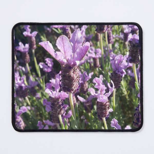 Item preview, Lavender Flower designed and sold by Sarah  Rajkotwala.