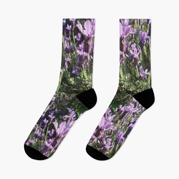 Item preview, Lavender Flower designed and sold by Sarah  Rajkotwala.