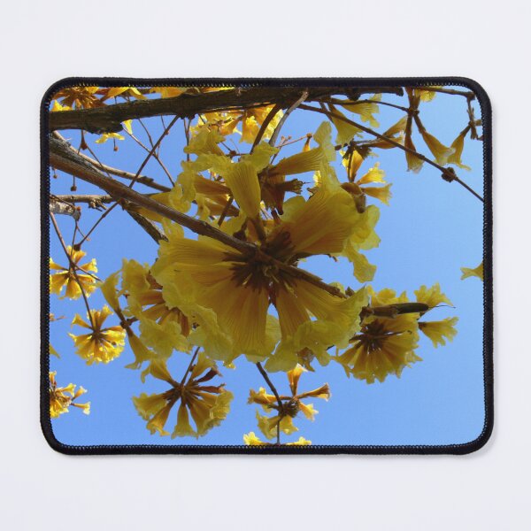 Item preview, Yellow Flowers designed and sold by Monika's Shop.