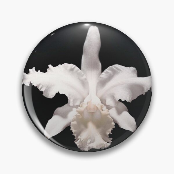 Item preview, Kings of Leon aha shake heartbreak 2 designed and sold by BryanPoirierr.