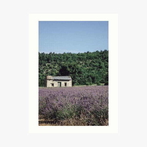 Provence Art Print