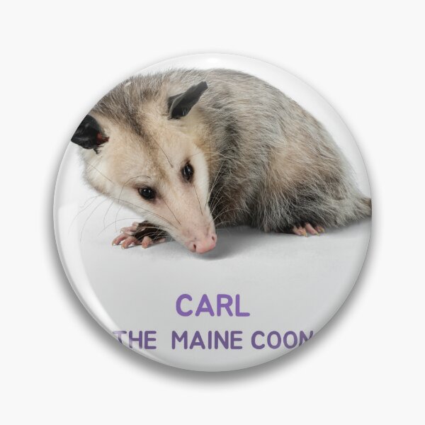Item preview, Carl designed and sold by TheNamelessST.