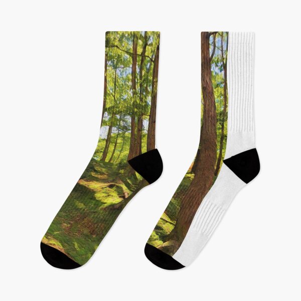 Aperçu de l'œuvre Marches de la forêt moussue créée et vendue par Jane Girardot.