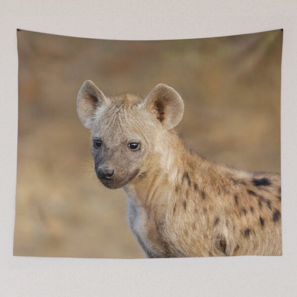 Item preview, Hyena in the wild designed and sold by Midnight-Hour.
