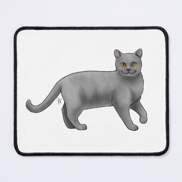 Item preview, Cat - Chartreux Cat - Amber Eyes designed and sold by Jennifer Stolzer.