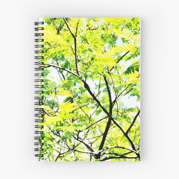 Item preview, Tree Photography High Exposure designed and sold by DeannesStore.
