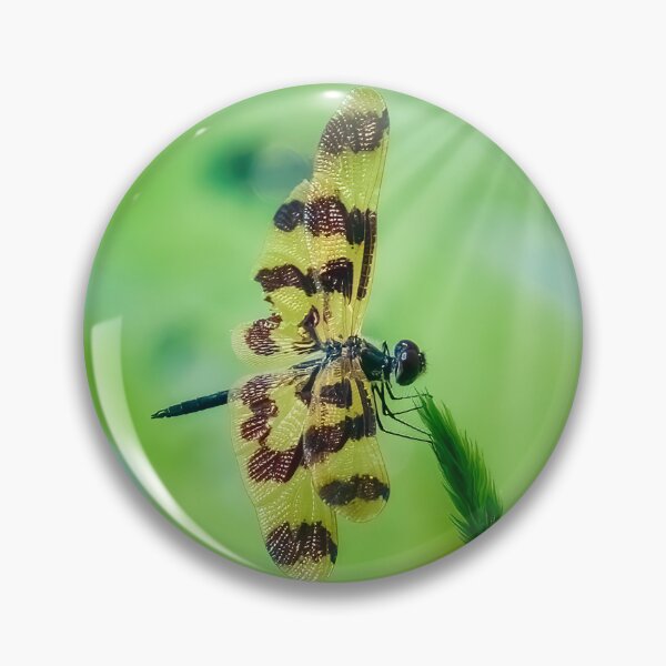 Item preview, Dragon Fly designed and sold by Peter Keepence.