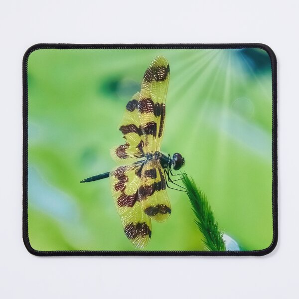 Item preview, Dragon Fly designed and sold by Peter Keepence.