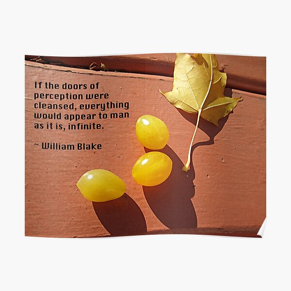 Doors of Perception William Blake Poster
