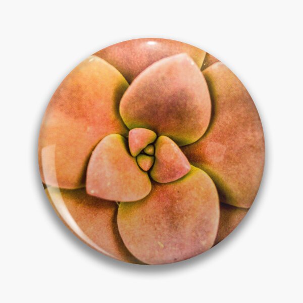 Item preview, Orange Succulent - Nature Patterns designed and sold by MSistersDesigns.