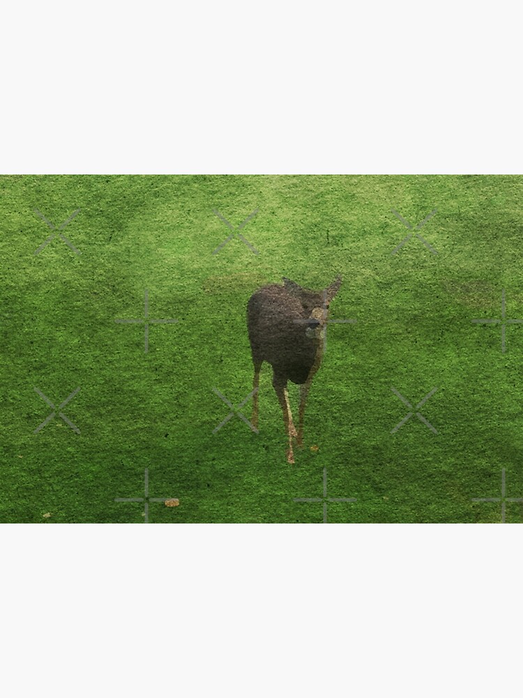 "Whidbey Island Deer 1" Poster by jaydeedearness Redbubble
