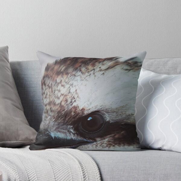Item preview, Kookaburra Stare designed and sold by Sugarloafdesign.