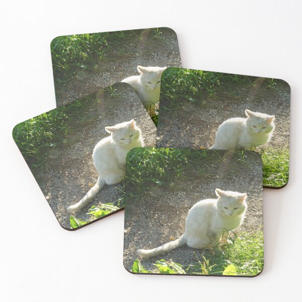 Item preview, my white litlle cat designed and sold by barbich.