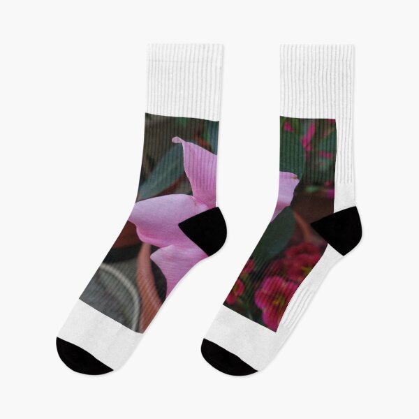 Item preview, beautifull bloss... designed and sold by barbich.