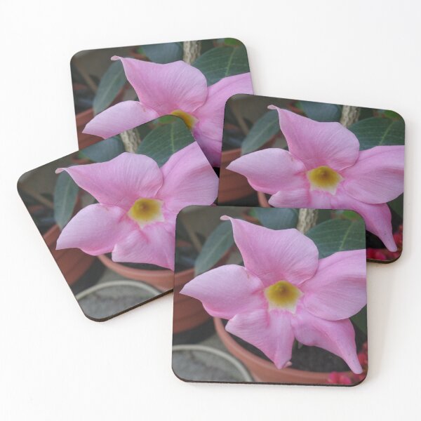 Item preview, beautifull bloss... designed and sold by barbich.