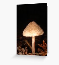 spotted mushroom Greeting Card