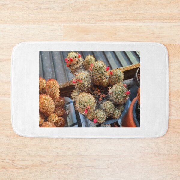 Item preview, blooming cactus.. designed and sold by barbich.