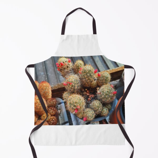 Item preview, blooming cactus.. designed and sold by barbich.