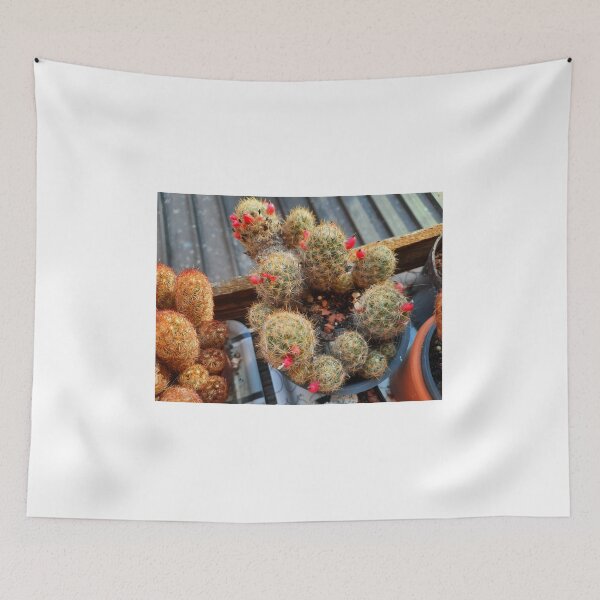 Item preview, blooming cactus.. designed and sold by barbich.
