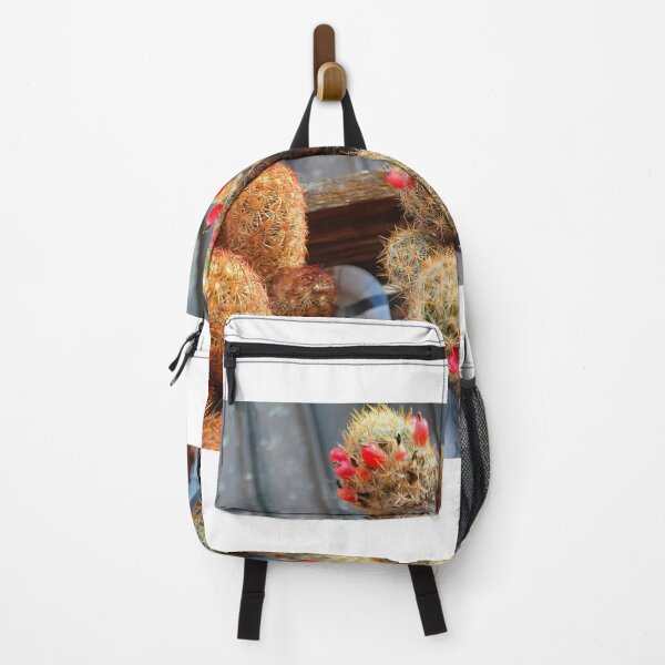 Item preview, blooming cactus.. designed and sold by barbich.