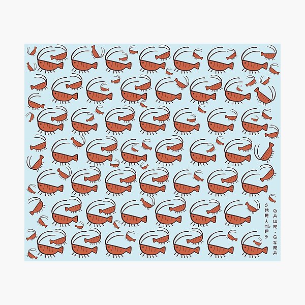 Gura's Cute Shrimp Pattern Photographic Print