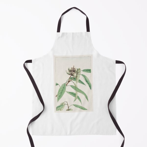 Item preview, Traditional Japanese oak, Kashi - Antique Botanical Illustration designed and sold by FrostMintStudio.