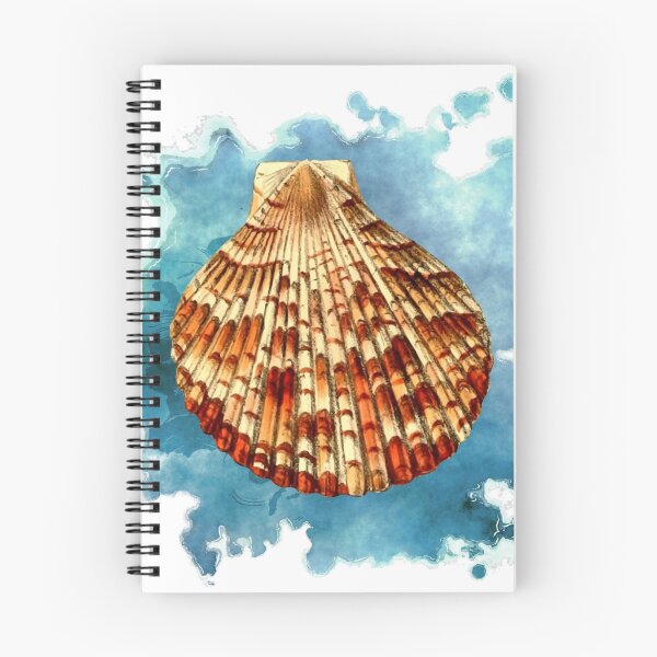 Item preview, Seashell Art (2 of 3) designed and sold by lotuscrusade.