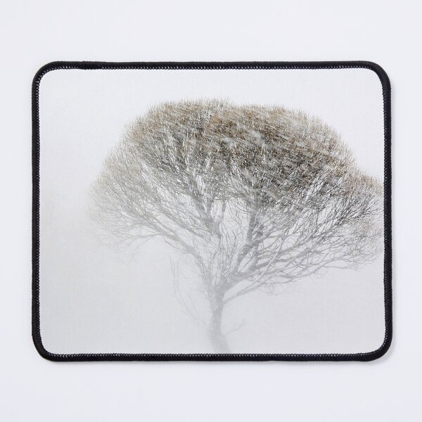 Item preview, 9.4.2022: Tree in Blizzard designed and sold by Petri Volanen.