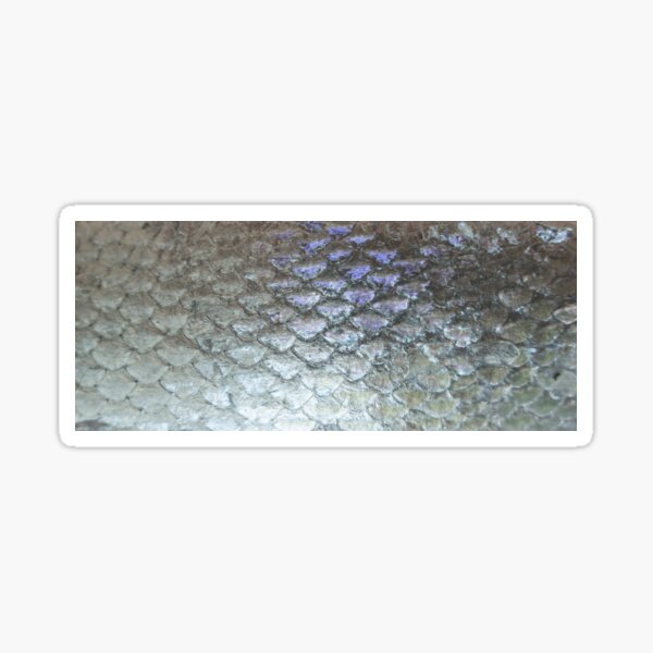 Vista previa del artículo con la obra «piel de pescado», diseñado y vendido por piakestore.
