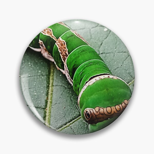 Item preview, Green caterpiller designed and sold by Artpatriot.