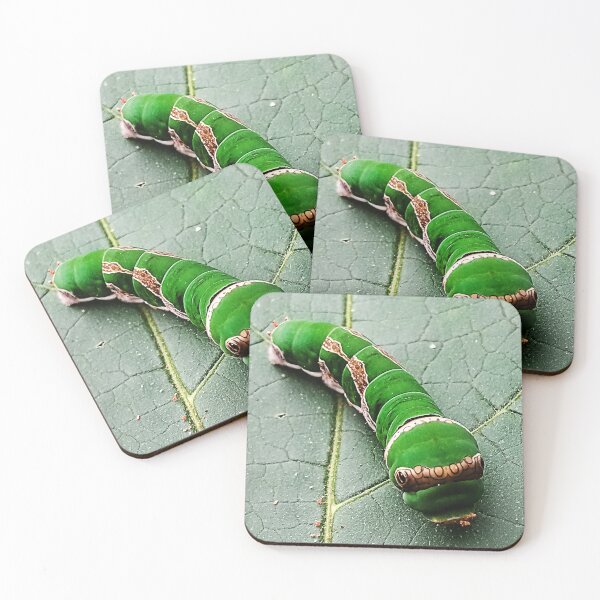 Item preview, Green caterpiller designed and sold by Artpatriot.