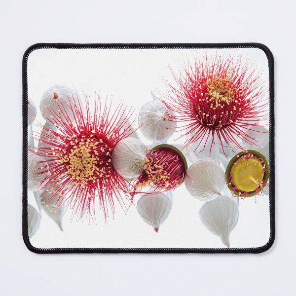 Item preview, Rich Red Rose Mallee designed and sold by SallyB.Photography.