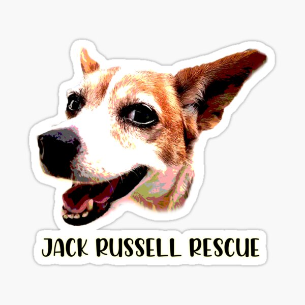 Piper Louise - Jack Russell Rescue Sticker
