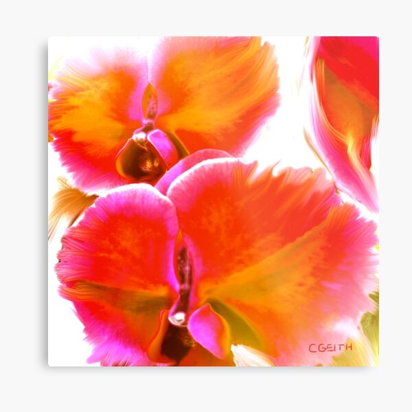 Orchids Ablaze Metal Print