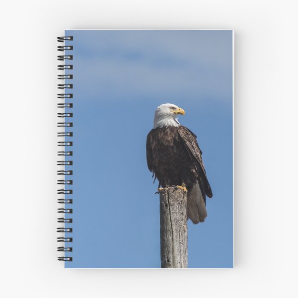 Item preview, Bald Eagle designed and sold by RoofdogMedia.