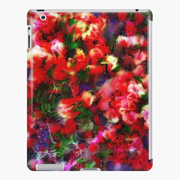 Esplendido iPad Snap Case