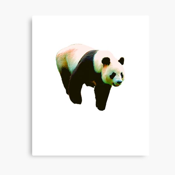 Decoración: Graciosos Pandas Oso Cabeza | Redbubble