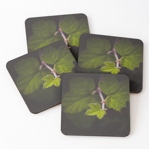 Item preview, Vine Branch designed and sold by kasthu.