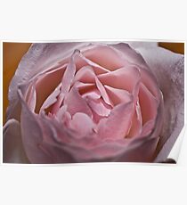 Pink Love Poster
