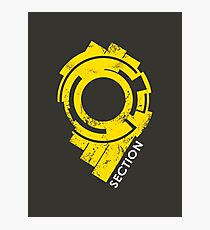 Section 9 Photographic Print