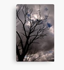 Cold Tree VII Canvas Print