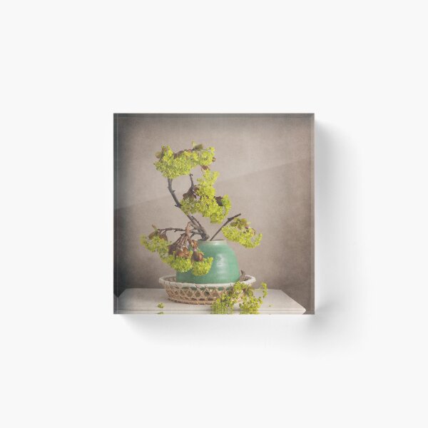 Item preview, Still Life April 18 designed and sold by nikoart001.