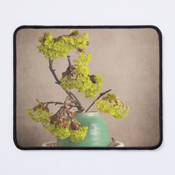 Item preview, Still Life April 18 designed and sold by nikoart001.