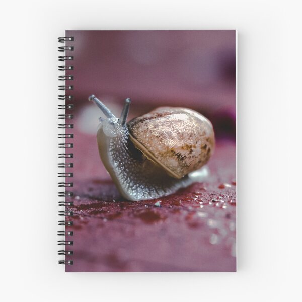 Item preview, Moving designed and sold by fotozo.