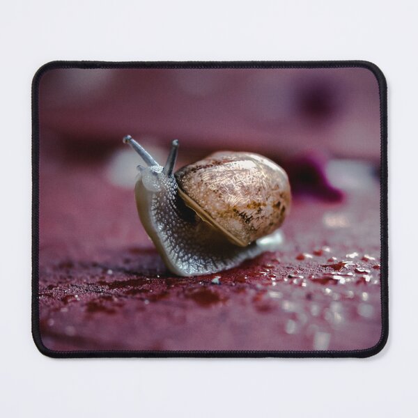 Item preview, Moving designed and sold by fotozo.