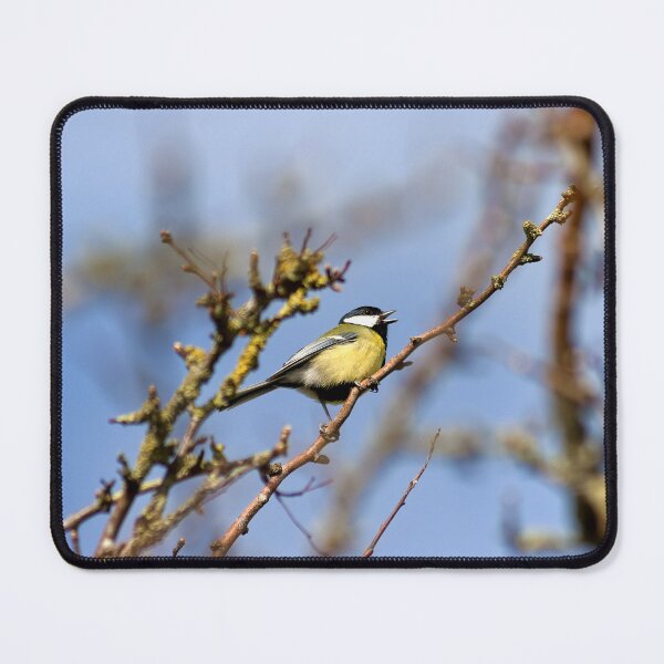 Item preview, Great Tit ( Parus Major) designed and sold by Andy Harker.