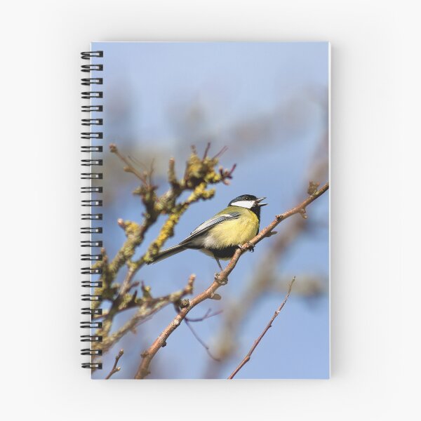 Item preview, Great Tit ( Parus Major) designed and sold by Andy Harker.